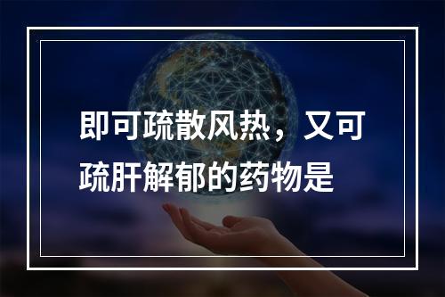 即可疏散风热，又可疏肝解郁的药物是