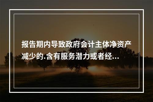 报告期内导致政府会计主体净资产减少的.含有服务潜力或者经济利