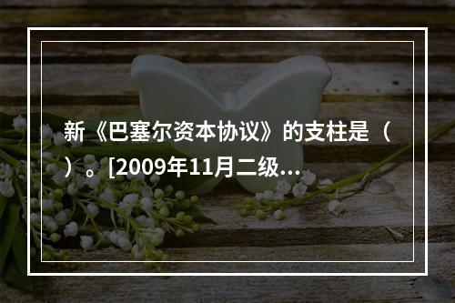 新《巴塞尔资本协议》的支柱是（）。[2009年11月二级、三