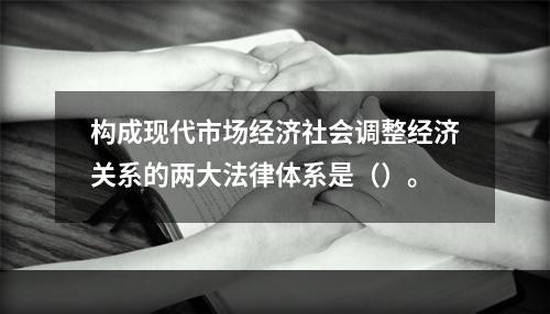 构成现代市场经济社会调整经济关系的两大法律体系是（）。