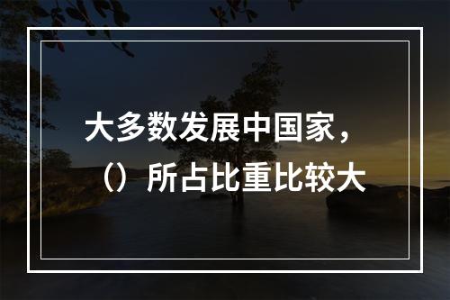 大多数发展中国家，（）所占比重比较大