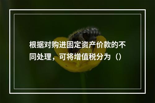 根据对购进固定资产价款的不同处理，可将增值税分为（）