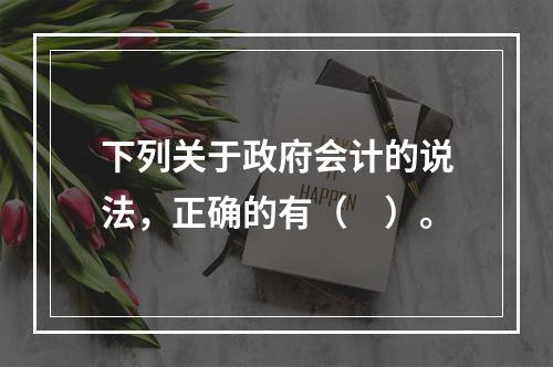 下列关于政府会计的说法，正确的有（　）。