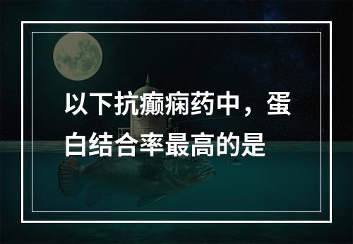 以下抗癫痫药中，蛋白结合率最高的是