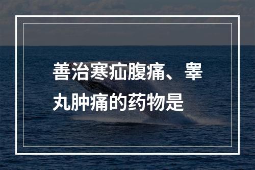 善治寒疝腹痛、睾丸肿痛的药物是