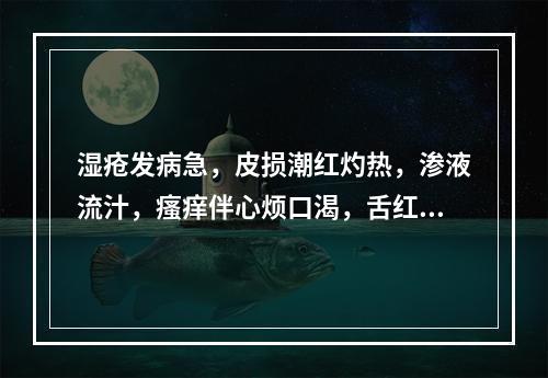 湿疮发病急，皮损潮红灼热，渗液流汁，瘙痒伴心烦口渴，舌红苔白