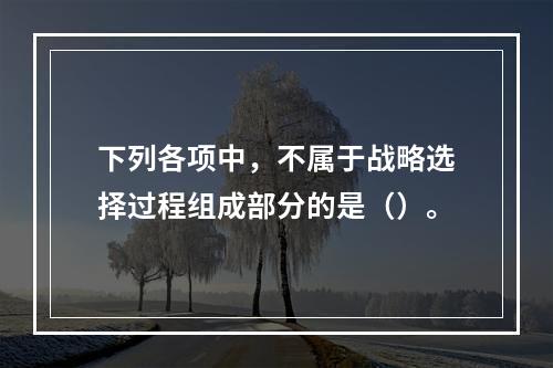 下列各项中，不属于战略选择过程组成部分的是（）。