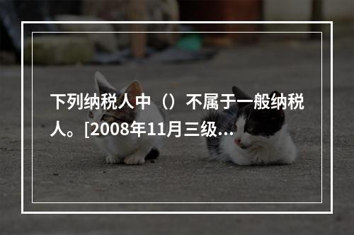 下列纳税人中（）不属于一般纳税人。[2008年11月三级真题