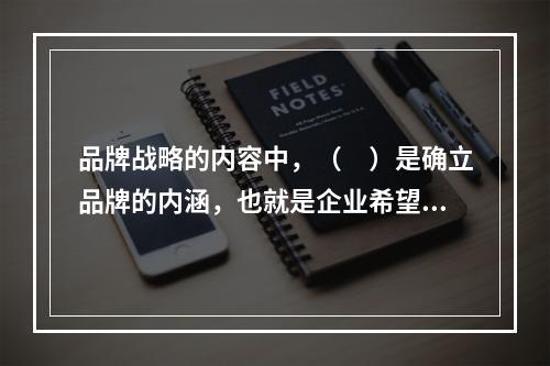 品牌战略的内容中，（　）是确立品牌的内涵，也就是企业希望消