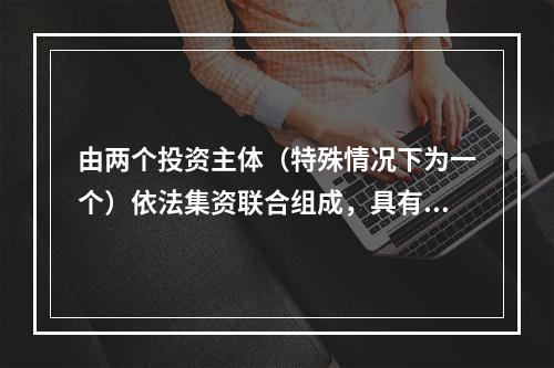 由两个投资主体（特殊情况下为一个）依法集资联合组成，具有独