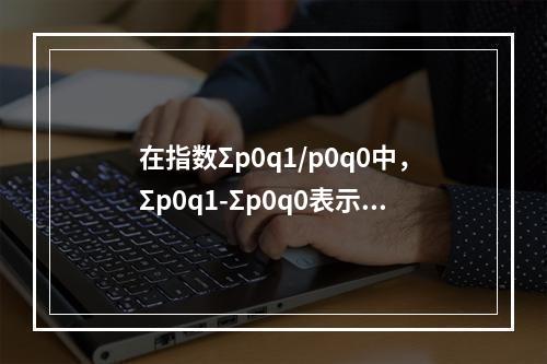 在指数Σp0q1/p0q0中，Σp0q1-Σp0q0表示（）