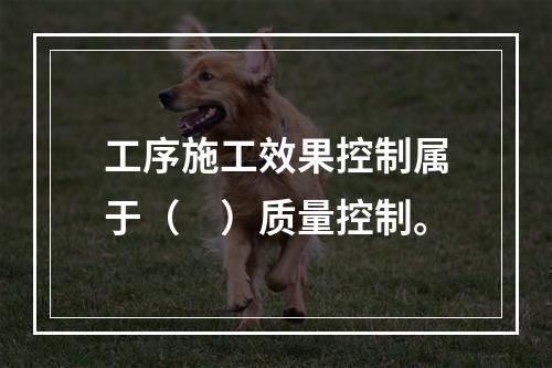 工序施工效果控制属于（　）质量控制。