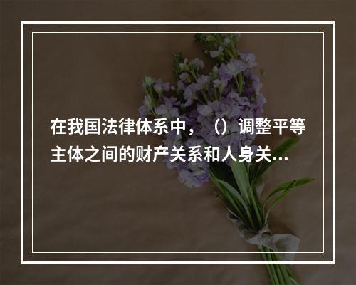 在我国法律体系中，（）调整平等主体之间的财产关系和人身关系。