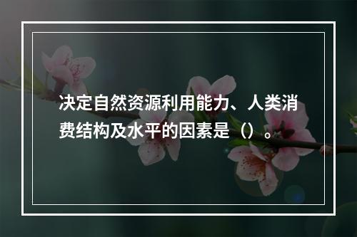 决定自然资源利用能力、人类消费结构及水平的因素是（）。