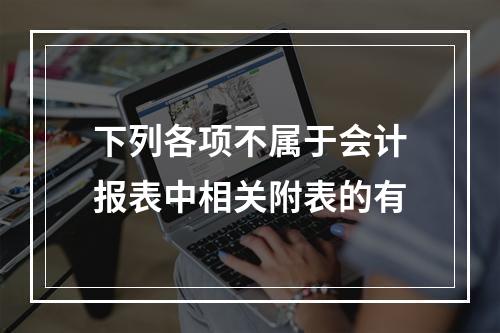 下列各项不属于会计报表中相关附表的有