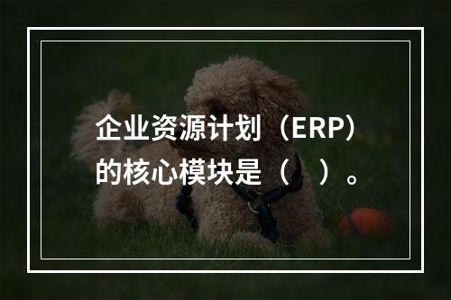 企业资源计划（ERP）的核心模块是（　）。