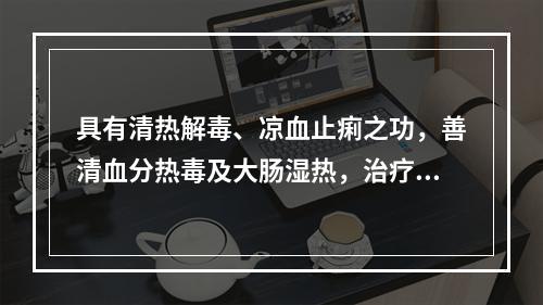 具有清热解毒、凉血止痢之功，善清血分热毒及大肠湿热，治疗热毒