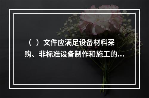 （   ）文件应满足设备材料采购、非标准设备制作和施工的需要