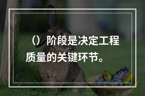 （）阶段是决定工程质量的关键环节。