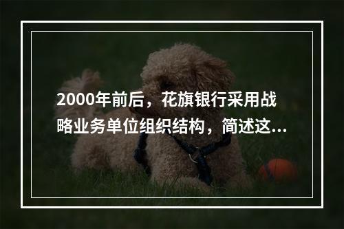 2000年前后，花旗银行采用战略业务单位组织结构，简述这种结