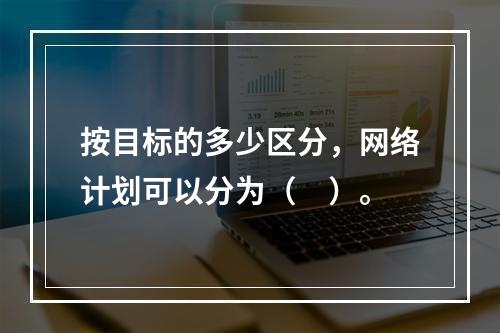 按目标的多少区分，网络计划可以分为（　）。