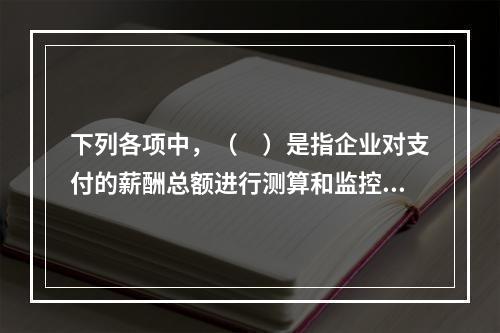 下列各项中，（　）是指企业对支付的薪酬总额进行测算和监控，以