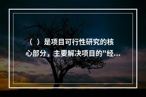 （   ）是项目可行性研究的核心部分，主要解决项目的