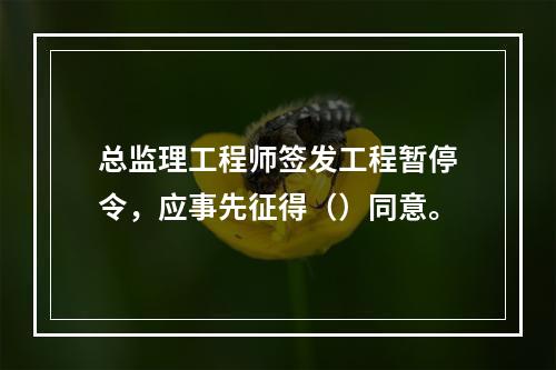 总监理工程师签发工程暂停令，应事先征得（）同意。