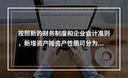 按照新的财务制度和企业会计准则，新增资产按资产性质可分为（）