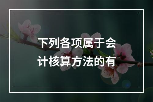 下列各项属于会计核算方法的有