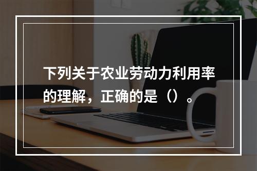 下列关于农业劳动力利用率的理解，正确的是（）。