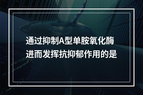 通过抑制A型单胺氧化酶进而发挥抗抑郁作用的是