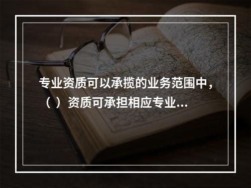 专业资质可以承揽的业务范围中，（  ）资质可承担相应专业工程