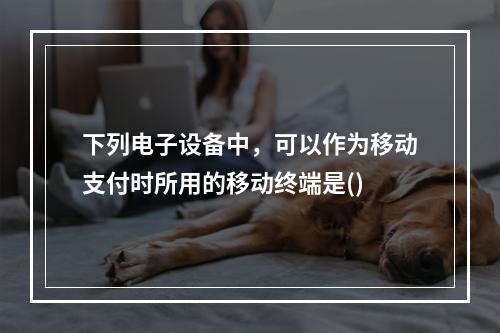 下列电子设备中，可以作为移动支付时所用的移动终端是()