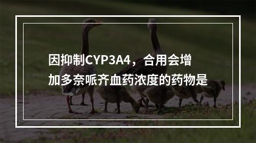 因抑制CYP3A4，合用会增加多奈哌齐血药浓度的药物是