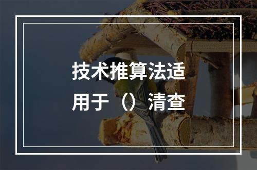 技术推算法适用于（）清查