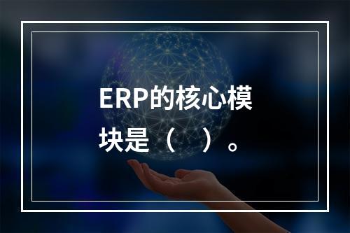 ERP的核心模块是（　）。