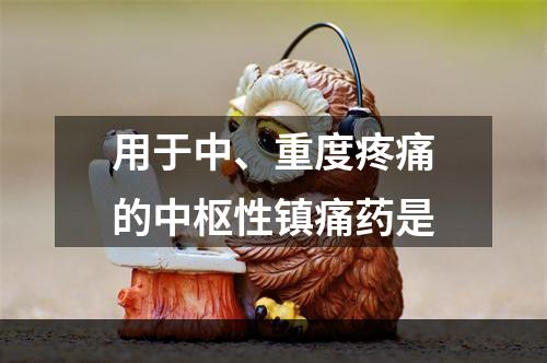 用于中、重度疼痛的中枢性镇痛药是