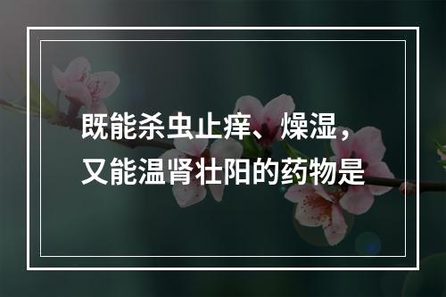 既能杀虫止痒、燥湿，又能温肾壮阳的药物是