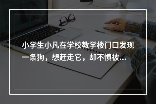 小学生小凡在学校教学楼门口发现一条狗，想赶走它，却不慎被咬伤