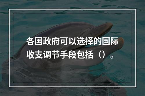 各国政府可以选择的国际收支调节手段包括（）。