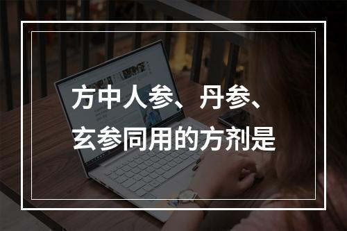 方中人参、丹参、玄参同用的方剂是