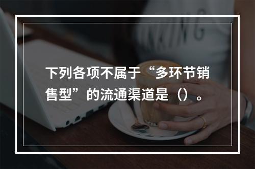 下列各项不属于“多环节销售型”的流通渠道是（）。