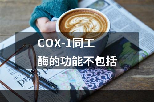 COX-1同工酶的功能不包括