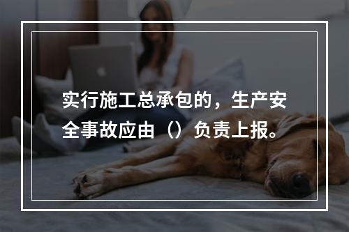 实行施工总承包的，生产安全事故应由（）负责上报。