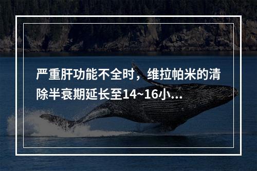 严重肝功能不全时，维拉帕米的清除半衰期延长至14~16小时，