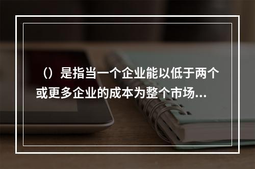 （）是指当一个企业能以低于两个或更多企业的成本为整个市场供给