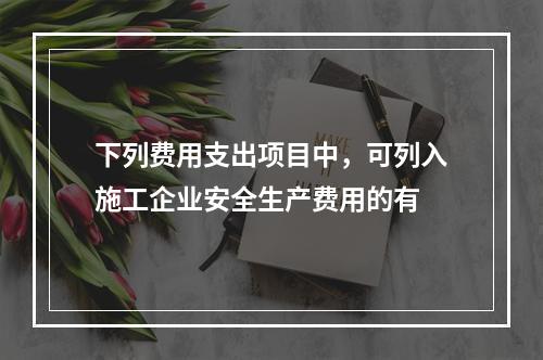 下列费用支出项目中，可列入施工企业安全生产费用的有