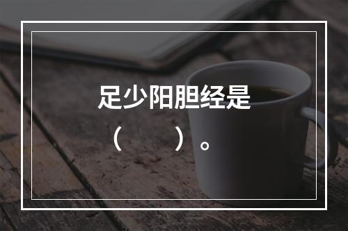 足少阳胆经是（　　）。