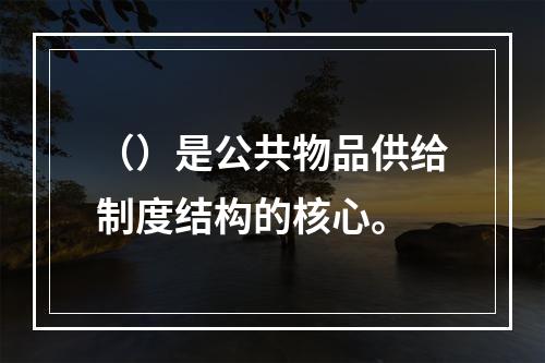 （）是公共物品供给制度结构的核心。